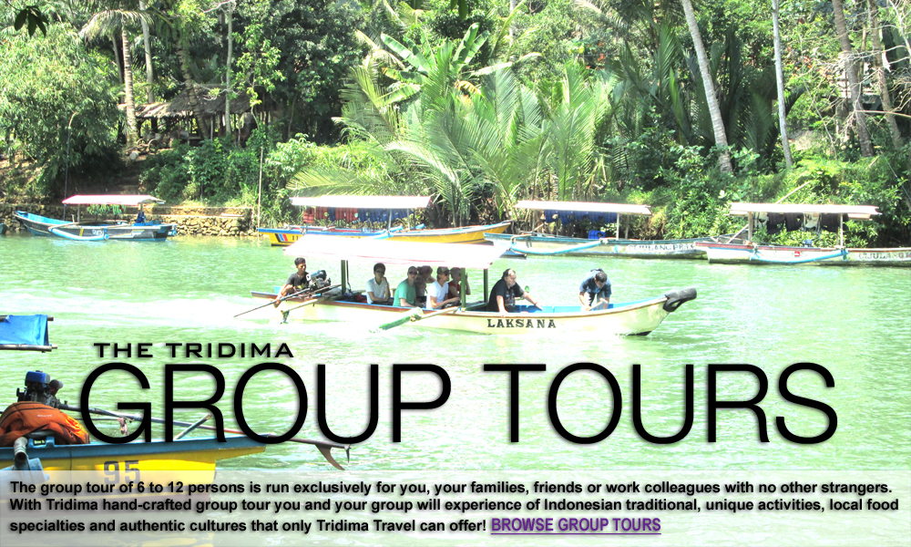 tridima travel group tour